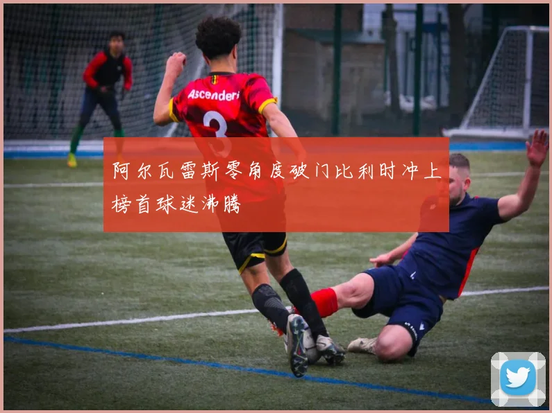 阿尔瓦雷斯零角度破门比利时冲上榜首球迷沸腾