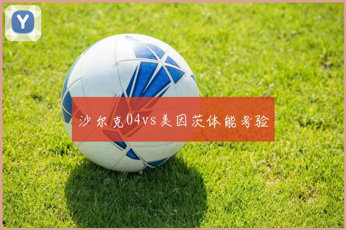 沙尔克04vs美因茨体能考验