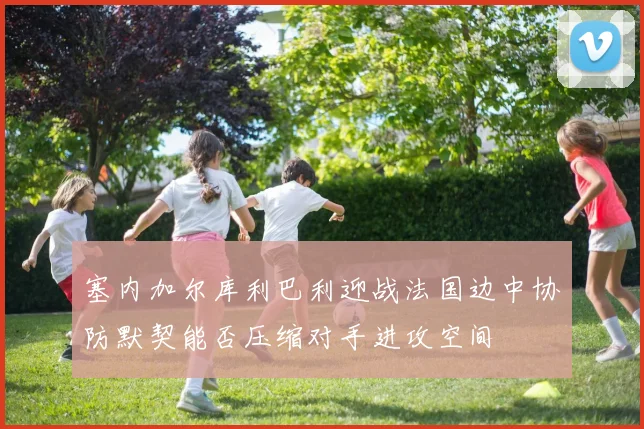 塞内加尔库利巴利迎战法国边中协防默契能否压缩对手进攻空间