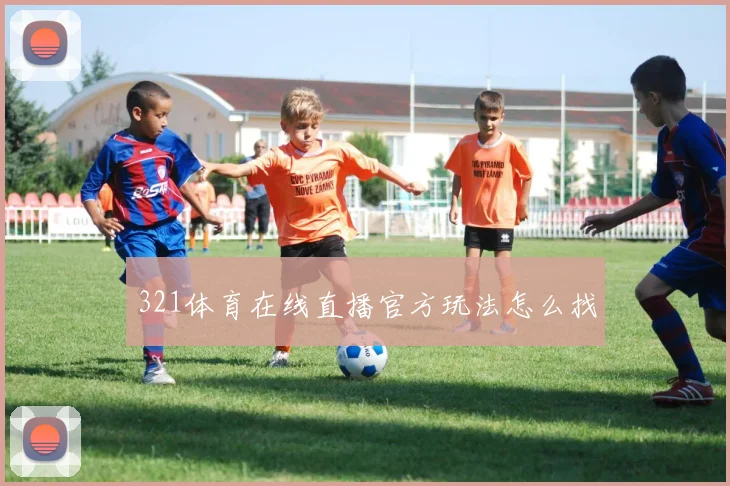 321体育在线直播官方玩法怎么找
